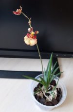 20201205_141837.jpg