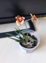 20201205_141903.jpg