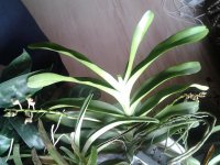 20130604_170701.jpg