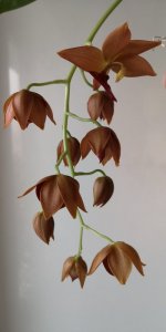 IMG_20201204_133454.jpg