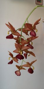 IMG_20201207_143803.jpg