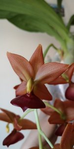 IMG_20201207_143955.jpg