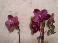 IMG_20201207_225429.jpg