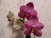 IMG_20201207_225439.jpg