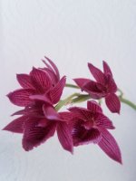 20201202_134027.jpg