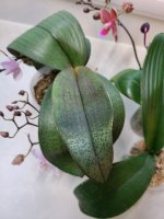 20201208_090447.jpg