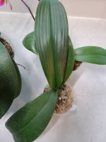20201208_090443.jpg
