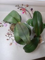 20201208_090425.jpg