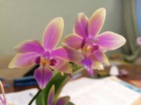 IMG_20201128_142208.jpg