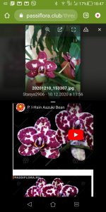 Screenshot_20201210-184720.jpg