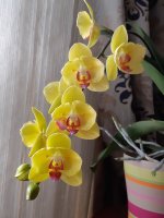 20201013_164459.jpg