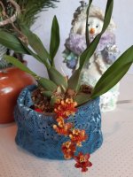 20201211_101513.jpg