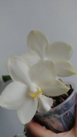 20201128_124257_HDR.jpg