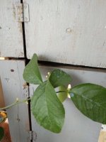IMG_20201213_134201.jpg