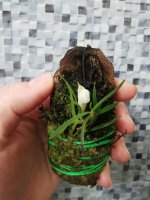 IMG_20201213_210858.jpg