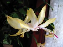 IMG_6857.JPG