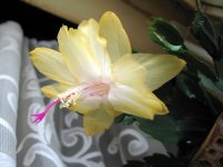 IMG_7092.JPG