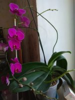 IMG_20201212_142019.jpg