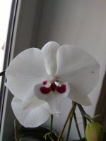IMG_20201208_084610.jpg