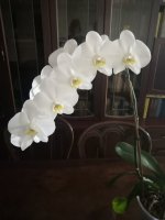 IMG_20201213_101542.jpg