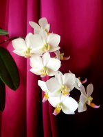 20201214_171315.jpg