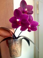 20201214_182658.jpg