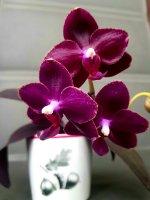 20201214_182551.jpg