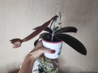 20201111_115644.jpg
