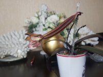 20201111_115515.jpg