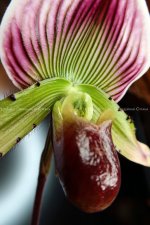 IMG_0023_2.jpg