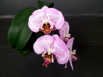 20201215_004850.jpg