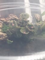 20201216_214025.jpg
