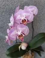 20201217_140617.jpg