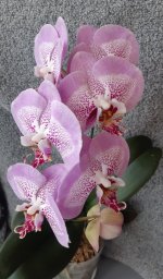20201217_140916.jpg