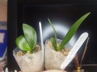 20201216_204135.jpg