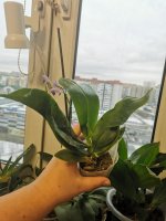 IMG_20201218_130000.jpg