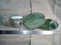 IMG_20201218_121729.jpg