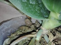 IMG_20201218_215012.jpg