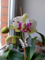 IMG20201219122944.jpg