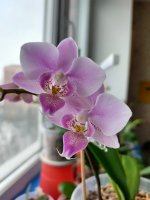 IMG20201219123049.jpg