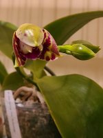 20201220_071055.jpg