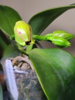 20201219_165103.jpg
