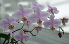 IMG_20201220_215639.jpg