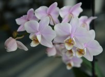IMG_20201220_215612.jpg