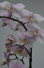 IMG_20201220_215541.jpg