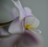 IMG_20201220_215856.jpg