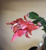 0156DE4C-D3C4-402E-8888-7478D0B69860.jpeg