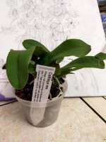 IMG20201223082631.jpg
