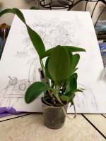 IMG20201223082530.jpg