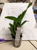 IMG20201223082541.jpg